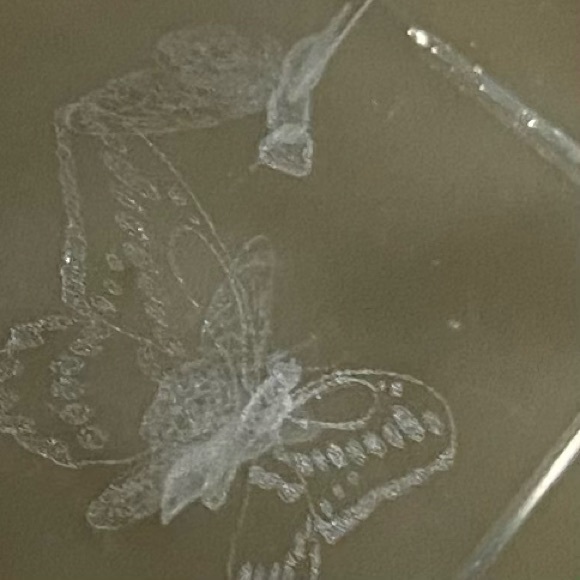 🦋 3D LASER Etched BUTTERFLIES Crystal PAPERWEIGHT - Picture 6 of 8